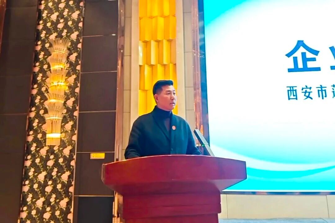 1768791788134775.jpg 1768791788134775.jpg