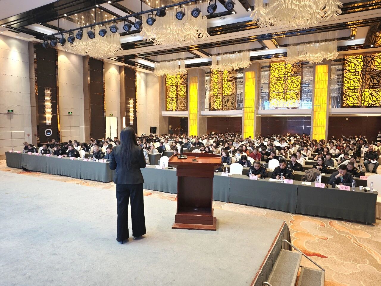 1768791813489819.jpg 1768791813489819.jpg