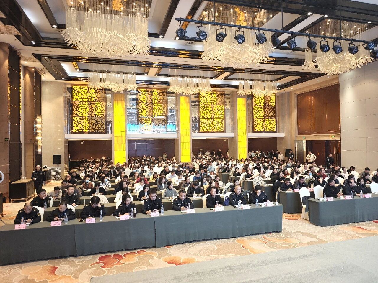 1768791906559149.jpg 1768791906559149.jpg